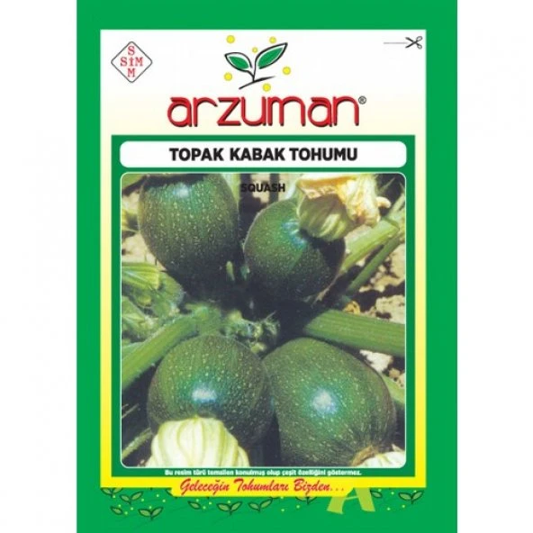 ARZUMAN TOPAK KABAK - 10 GR ürün görseli 1
