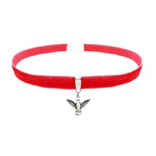 Albatros Kuşu Kadın Pembe Kadife Choker Kolye ürün görseli 1