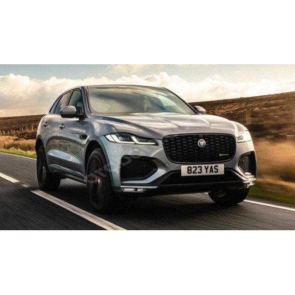 Jaguar E PACE Ön Panjur Izgara Panter 3M 3D Logo 100mm - Resim 7