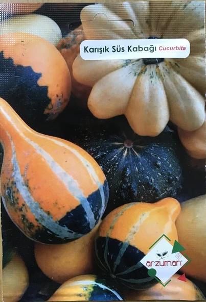KARIŞIK SÜS KABAĞI TOHUMU 10 ADET ürün görseli 1