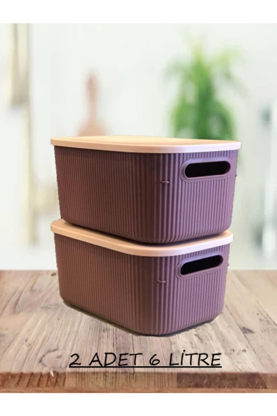 2 Adet Storage 6 Lt Mor Çok Amaçlı Dolap Içi Düzenleyici Kapaklı Kutu Dekoratif Kutu ürün görseli 1