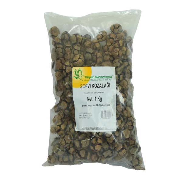 Doğan Baharatçılık Selvi Kozalağı Kiloluk Servi Kozalak Kuru 1KG ürün görseli 1