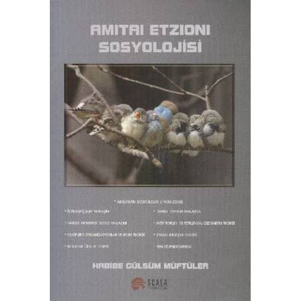 Amitai Etzioni Sosyolojisi ürün görseli 1