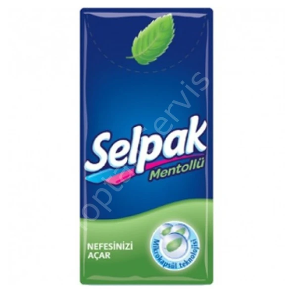 Selpak Menthol Cep Mendil 10'lu - Resim 2