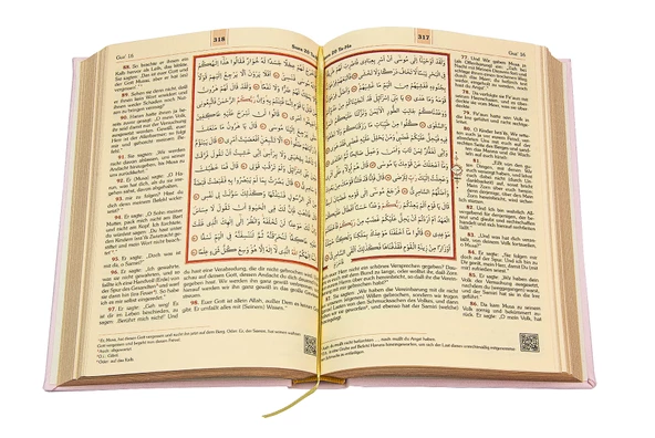 Almanca Mealli Kuran - Pembe - Resim 4