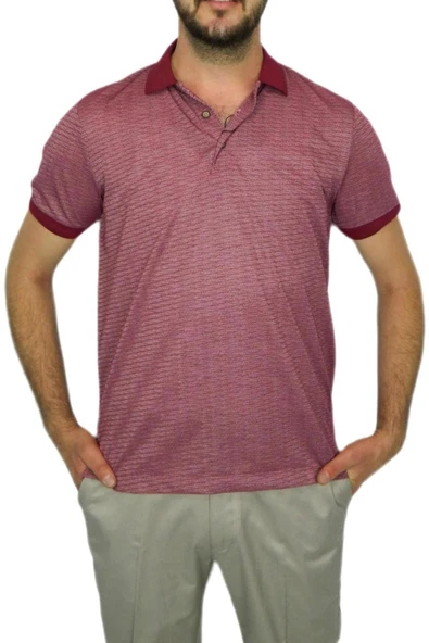 Erkek Polo Yaka Jakarlı T-sıhırt 2063 BGL-ST00533 ürün görseli 1