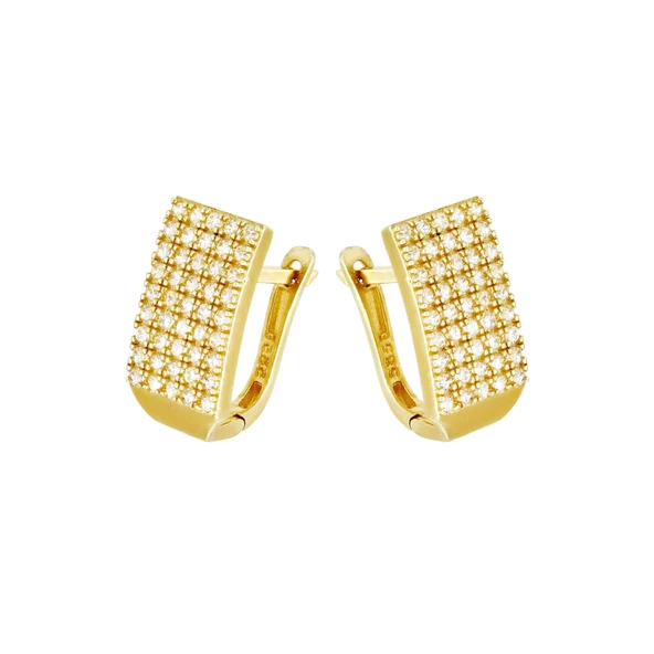 Altın Küpe T038875 ürün görseli 1