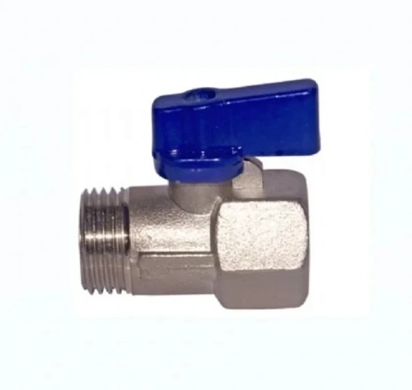 Mini Küresel Vana Erkek Dişi Mavi 1/4 - Resim 4