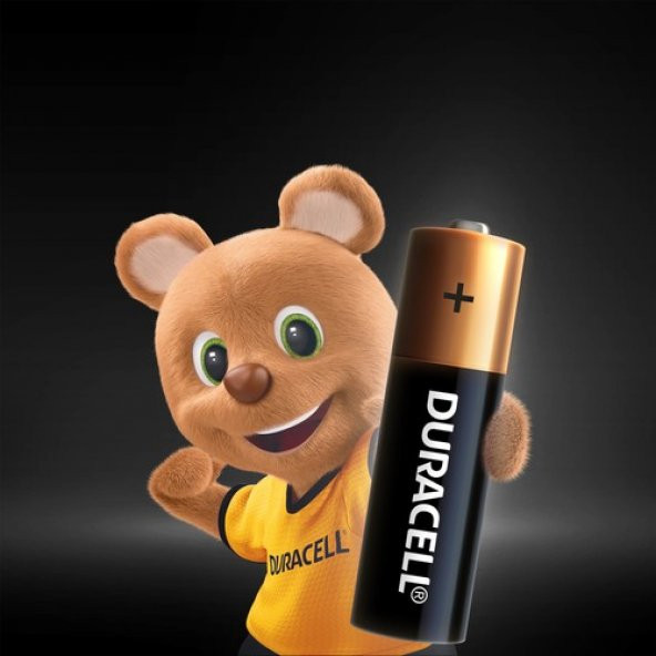 DURACELL BASİC KALEM PİL 6 LI AA*10 - Resim 2