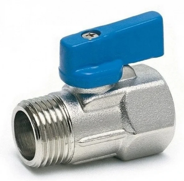 Mini Küresel Vana Erkek Dişi Mavi 1/2 - Resim 10