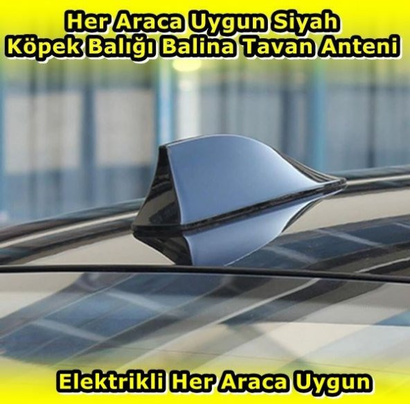 NKT GROUP Elektrikli Her Araca Uygun Siyah Shark Köpek Balığı Balina Tavan Anteni E.M. ürün görseli 1