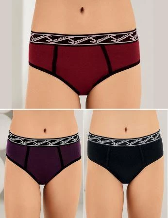 6 lı Paket Şahinler Bayan Likralı Bikini Külot B3084 ürün görseli 1