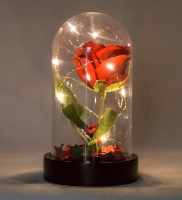 Led Işıklı Fanus İçinde Kırmızı Yapay Gül ürün görseli 1