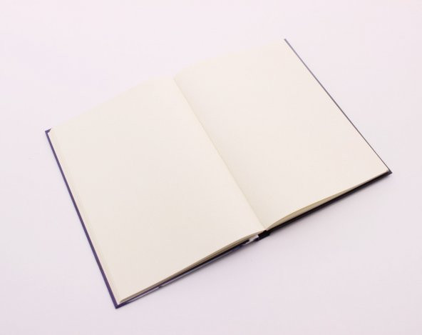 Lastikli Çizgisiz Sert Kapak Bellie Eilish Defter - Resim 4