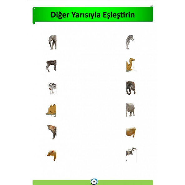 Okul Öncesi Eşleştirme YAZ-Sil Kitabı - Resim 4