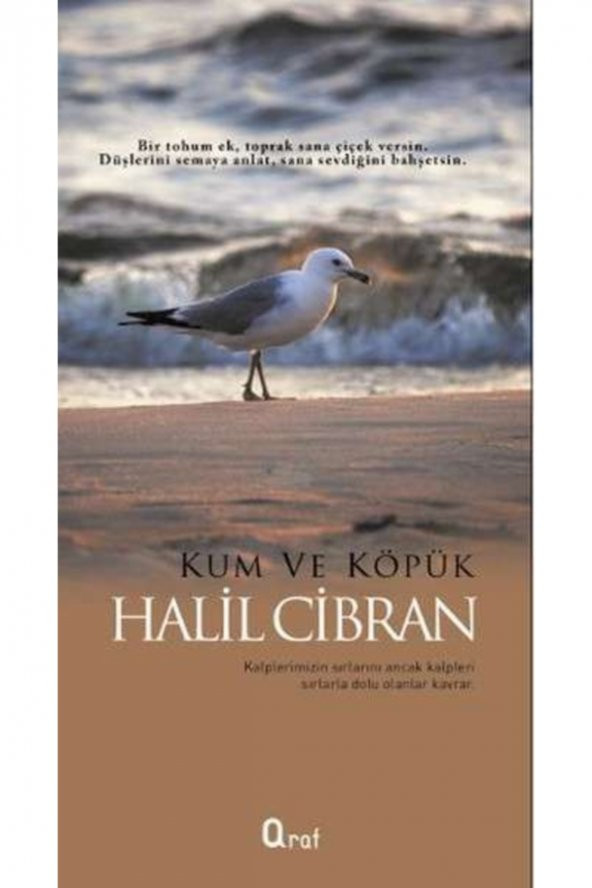 Kum Ve Köpük ürün görseli 1