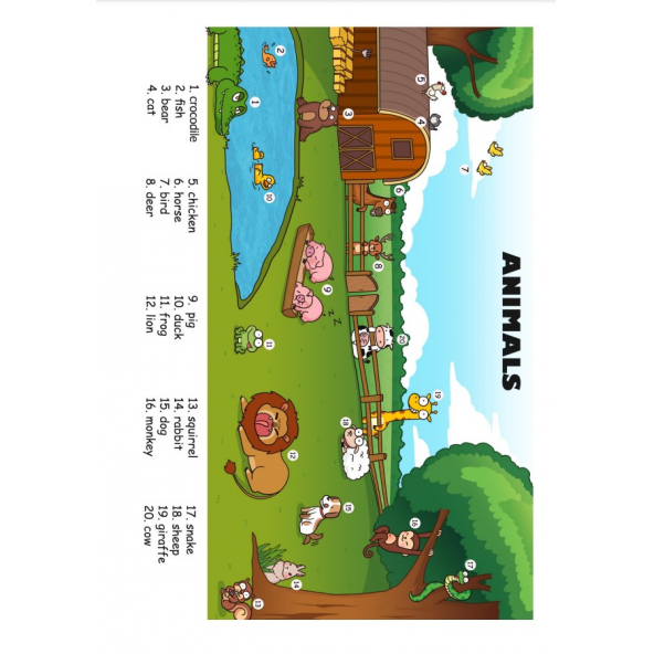 PTTAVM: İngilizce Öğreten Kelime Posterleri (22 Laminasyonla KAPLI)