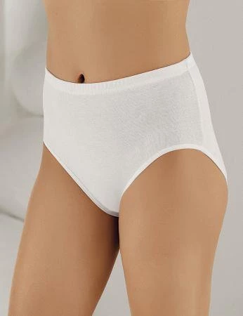 6 lı Paket Şahinler Bayan Ribana Yüksek Bel Bato Külot B008 ürün görseli 1