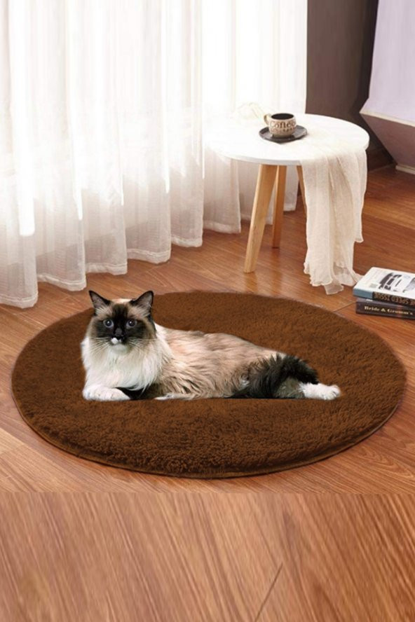Ares Kahve Peluş Kedi Minderi Evcil Hayvan Yatağı  Kedi Yuvası Matı Kedi Kulübesi Minderi ürün görseli 1