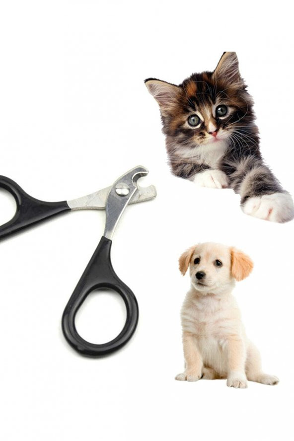 2 Adet Kedi Köpek Siyah Tırnak Makası Pet Tırnak Düzeltme Kesme Evcil Hayvan Tırnak Törpüsü Pedikür ürün görseli 1
