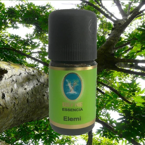 Elemi Yağı 5 ml. ürün görseli 1