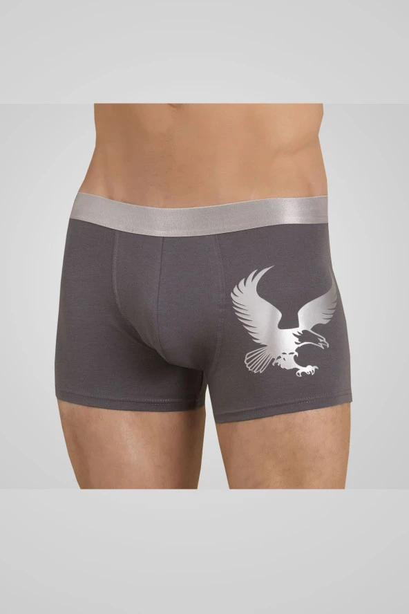 Erkek Eagle Boxer 1091 ürün görseli 1
