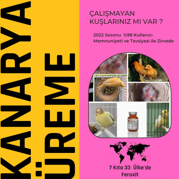FEROXİT 100 Gr Kanarya Kızıştırıcı ve Üreme Attırıcı Karışım ürün görseli 1
