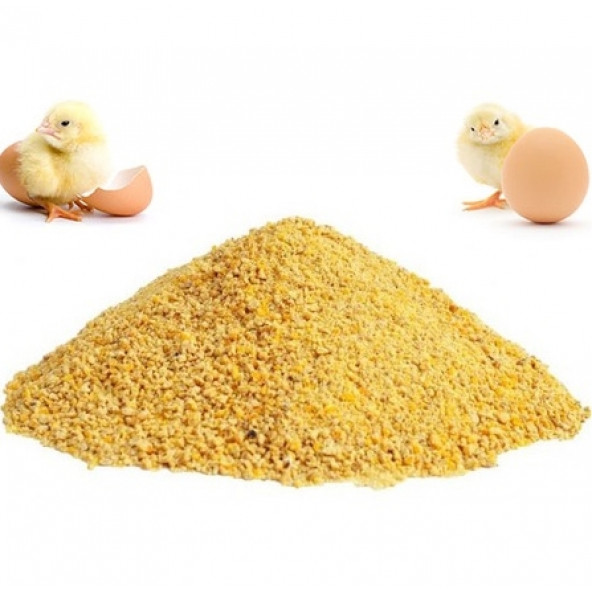 Civciv Yemi 1 Kg Toz (Tavuk, Ördek, Kaz, Bıldırcın Tüm Kanatlılar İçin) Civciv Yemi ürün görseli 1