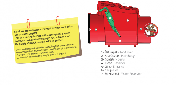 50lik Plastik Klapeli Çekvalf - Resim 2