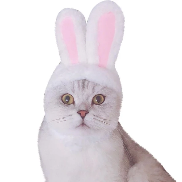 Tavşan Kulaklı Kedi Köpek Şapkası 30-34 cm ürün görseli 1