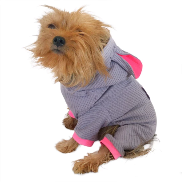 Sweet Bunny Kulaklı Köpek Tulumu Kıyafeti ürün görseli 1