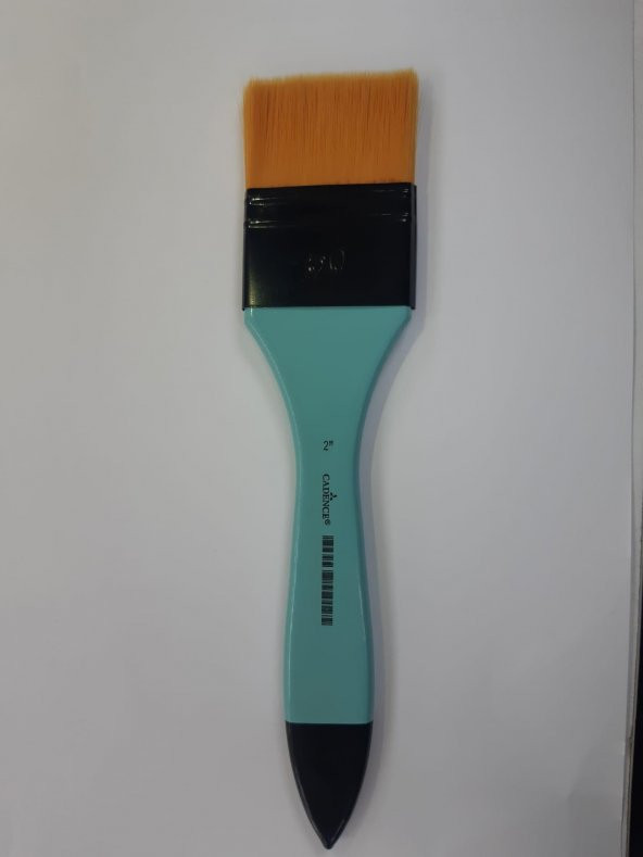 EKONOMİK ZEMİN FIRÇA P-350 NO:2 ürün görseli 1
