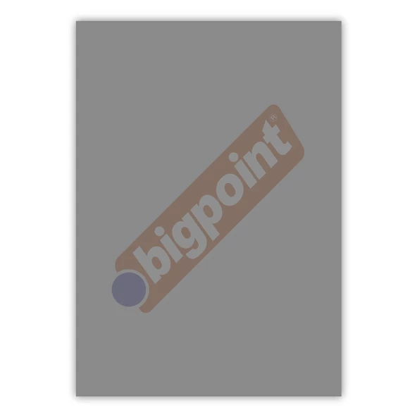 Bigpoint A4 Cilt Kapağı 150 Mikron Şeffaf Siyah 100'lü Paket ürün görseli 1