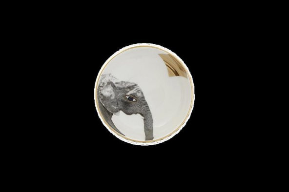 Porland Wild Life Elephant Kase 10cm ürün görseli 1