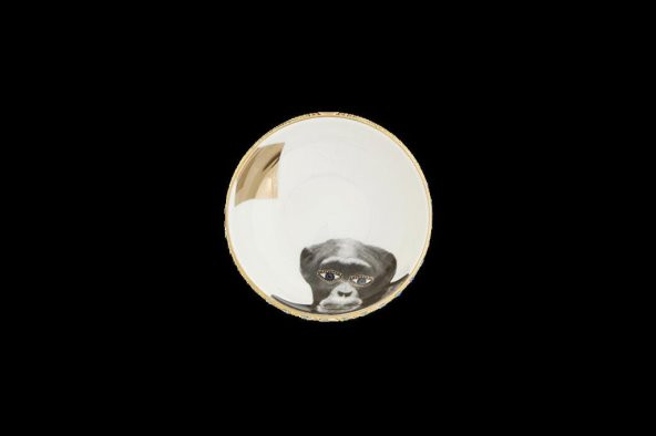 Porland Wild Life Monkey Kase 10cm ürün görseli 1