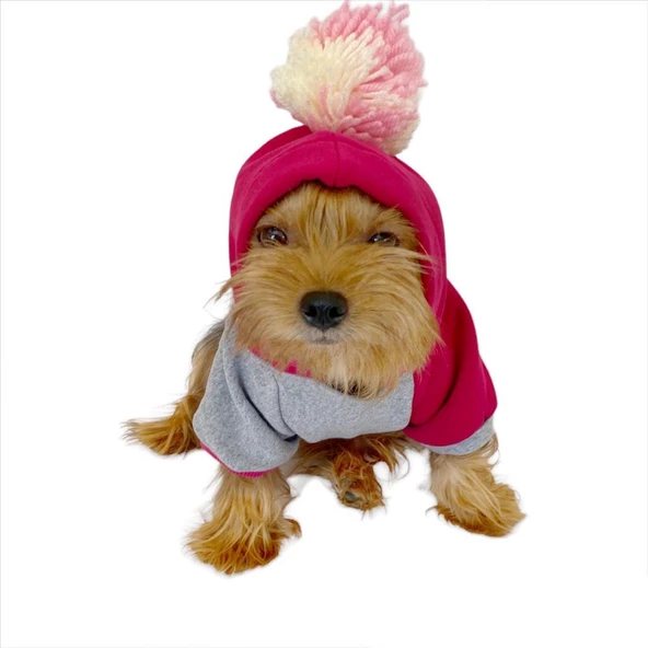 Pink Amigo Kapşonlu Sweatshirt Köpek Kıyafeti Köpek Elbisesi ürün görseli 1