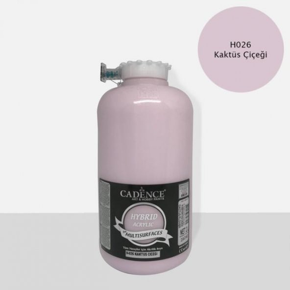 Cadence Hibrit Multisurface Boya 2000ml H-026 Kaktüs Çiçeği (3 Kg) ürün görseli 1