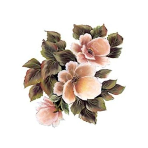 Cadence Gülsün Ülkü Kolay Transfer Kağıdı 17x25cm G164 ürün görseli 1
