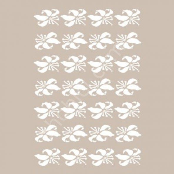 BN33 25x36 Cadence BN Serisisi Stencil - Resim 2