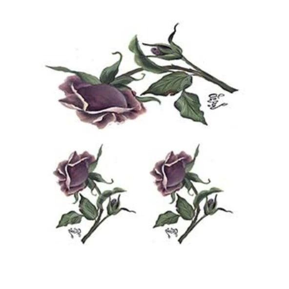 Cadence Gülsün Ülkü Kolay Transfer Kağıdı 17x25cm G18 ürün görseli 1
