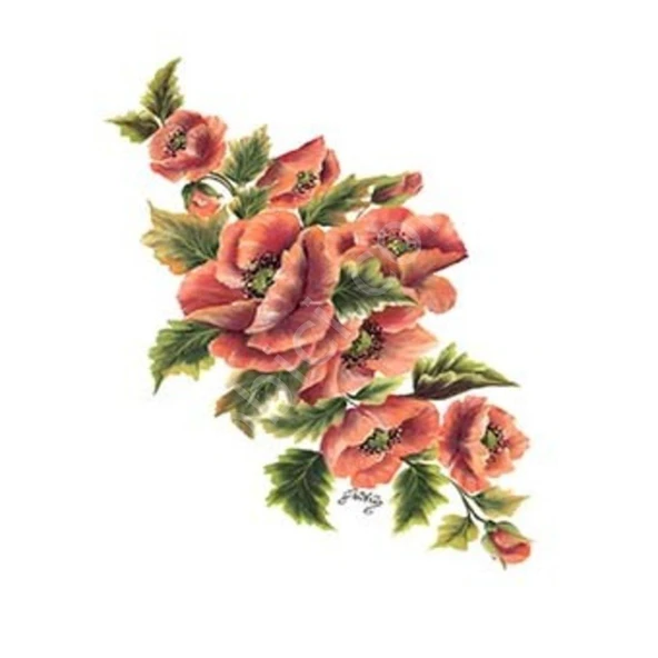 Cadence Gülsün Ülkü Kolay Transfer Kağıdı 17x25cm G94 ürün görseli 1