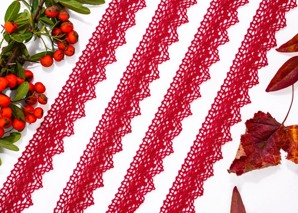 ALKA DANTEL MERSERİZE KOPANAKİ 10 METRE 8752 MERSERİZE BORDO ürün görseli 1
