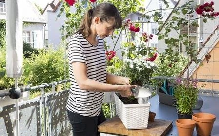 Gardena 8707 Balkon Bitki Budama Makası - Resim 3