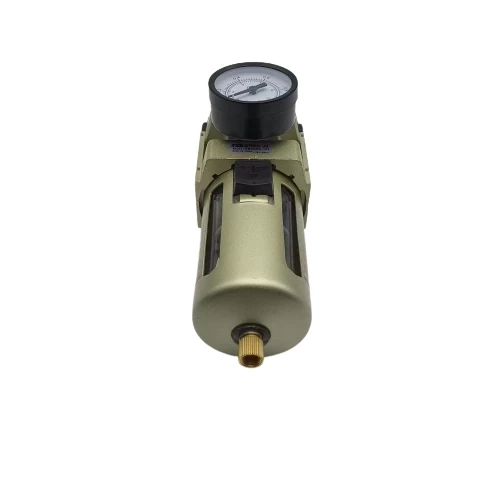 Filtre Regülatör Ew 5000 - 1" - Resim 3