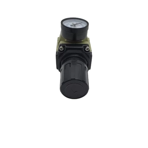 Filtre Regülatör Ew 5000 - 1" - Resim 4