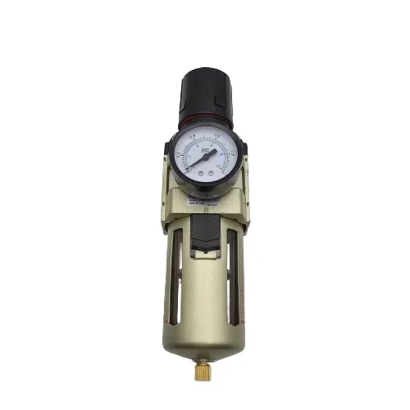 Filtre Regülatör Ew 5000 - 3/4 ürün görseli 1