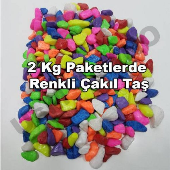 Teraryum Çakıl Taşı, Fanus Renkli Dekoratif Taş Akvaryum Taşı 2 Kg KarışıkRenk Terarium Taşı 1-2 cm çaplı ürün görseli 1
