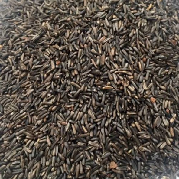 Nijer Tohumu Kuşlar İçin Nijer Tohum Yemi Kızıştırıcı Yem 500 Gram ürün görseli 1