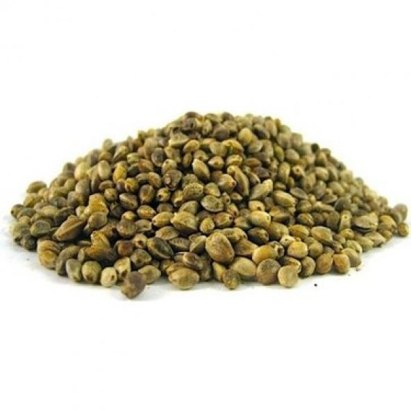 Kuşlar İçin Kenevir Tohumu Cedene 500 Gram ürün görseli 1