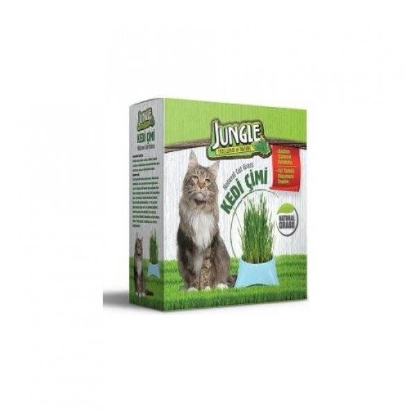 Jungle Kedi Çimi ürün görseli 1